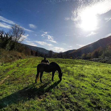 La Casella Antico Feudo Di Campagna Ficulle ภายนอก รูปภาพ