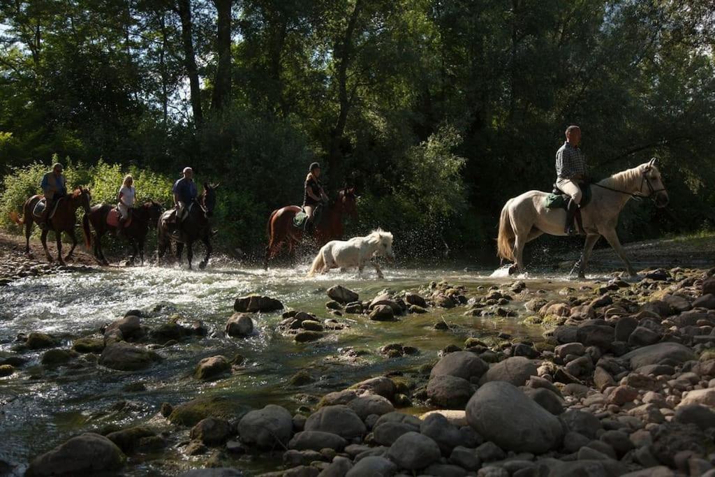 La Casella Antico Feudo Di Campagna Ficulle ภายนอก รูปภาพ