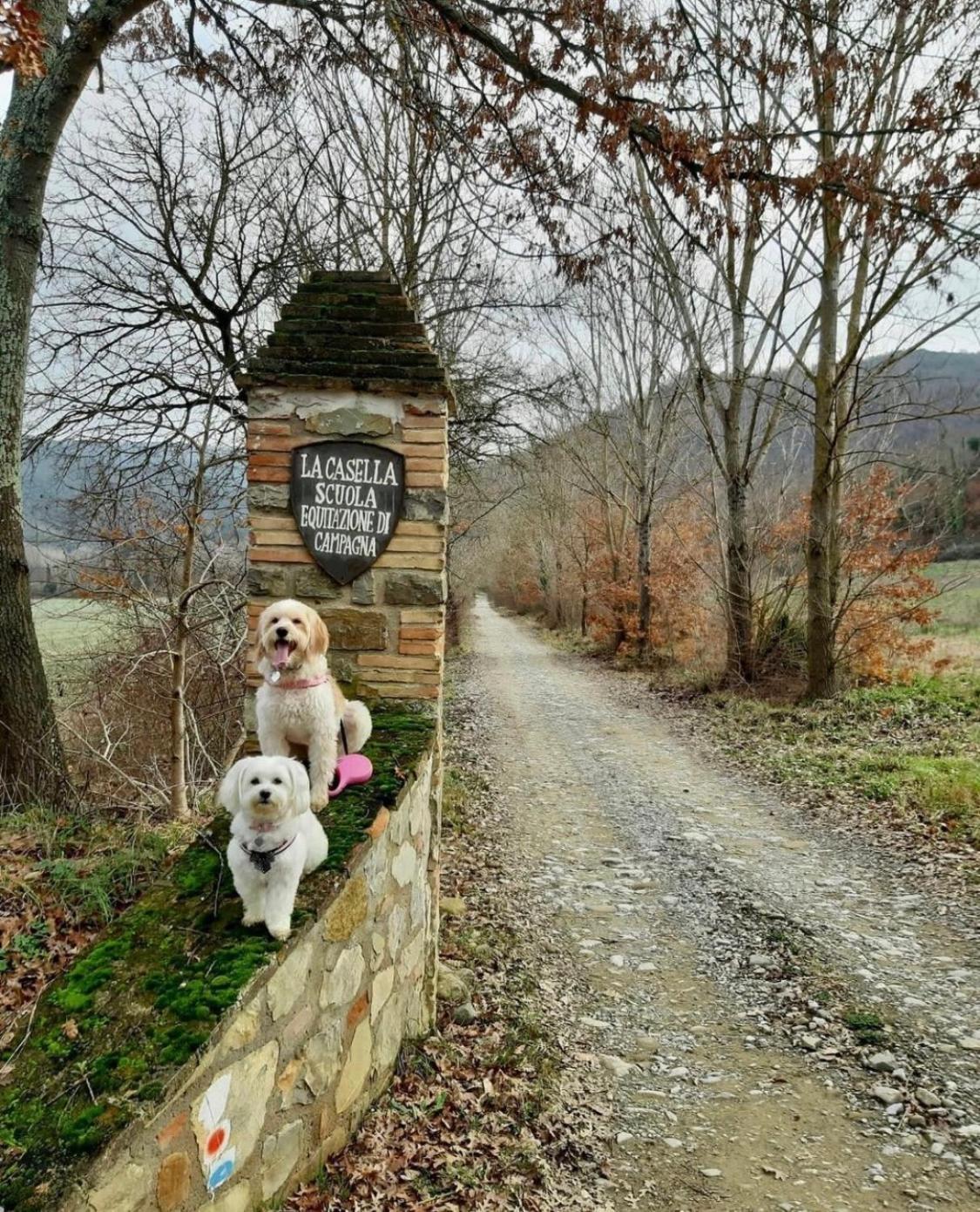 La Casella Antico Feudo Di Campagna Ficulle ภายนอก รูปภาพ