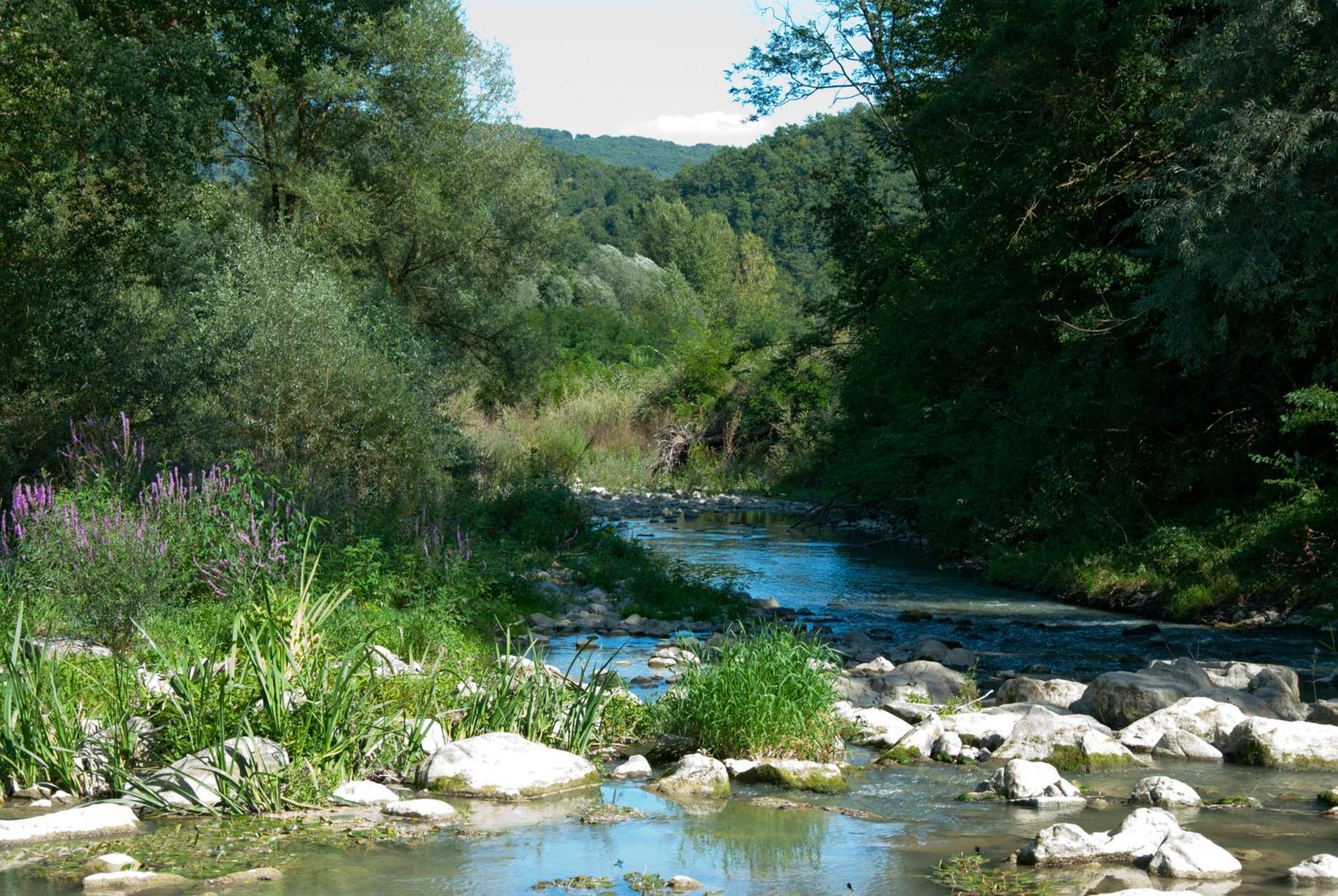 La Casella Antico Feudo Di Campagna Ficulle ภายนอก รูปภาพ