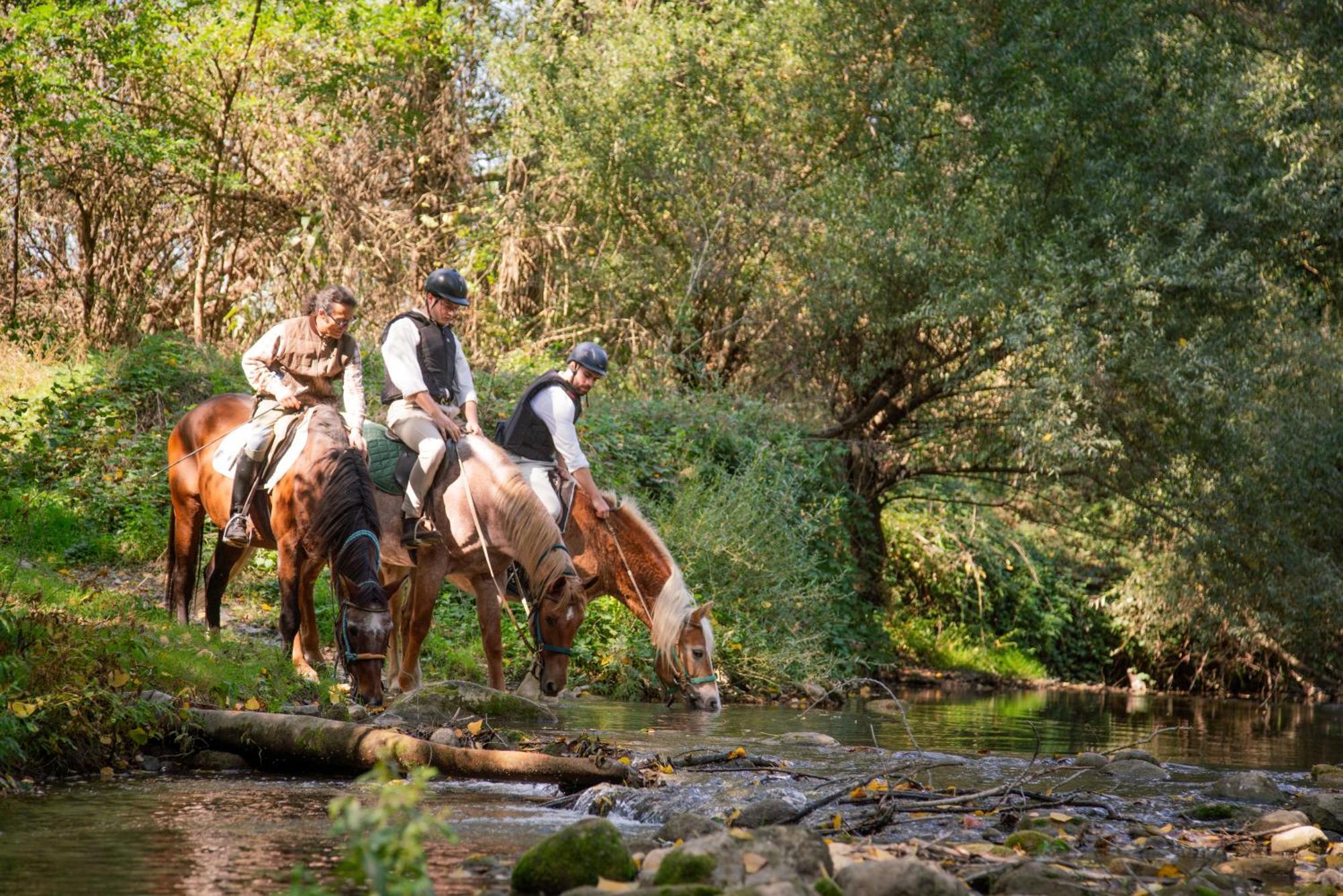 La Casella Antico Feudo Di Campagna Ficulle ภายนอก รูปภาพ