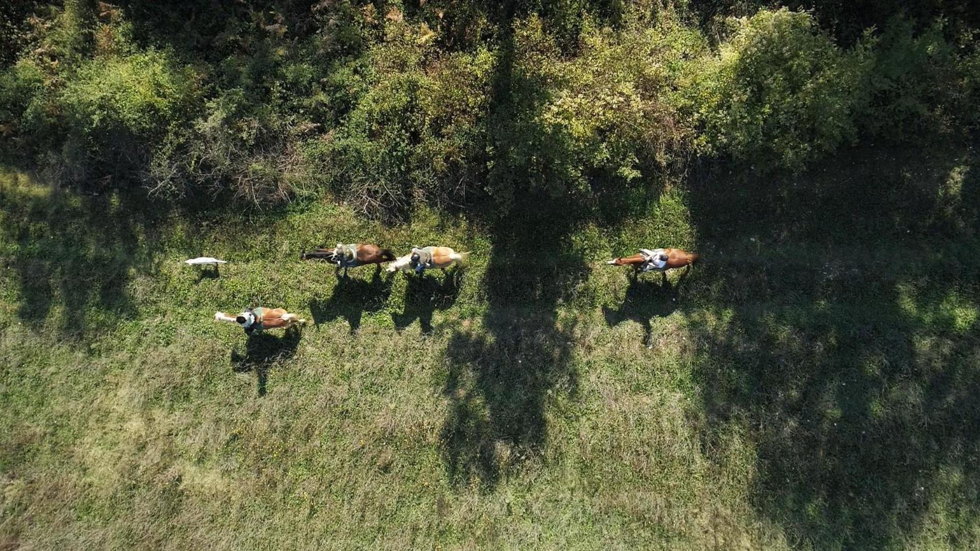 La Casella Antico Feudo Di Campagna Ficulle ภายนอก รูปภาพ