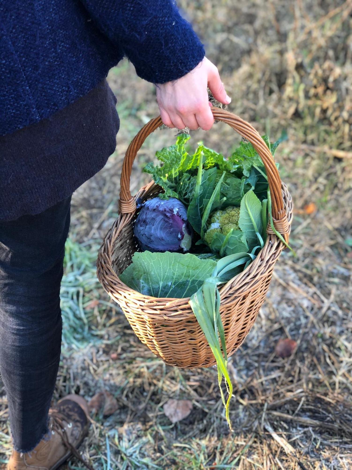 La Casella Antico Feudo Di Campagna Ficulle ภายนอก รูปภาพ
