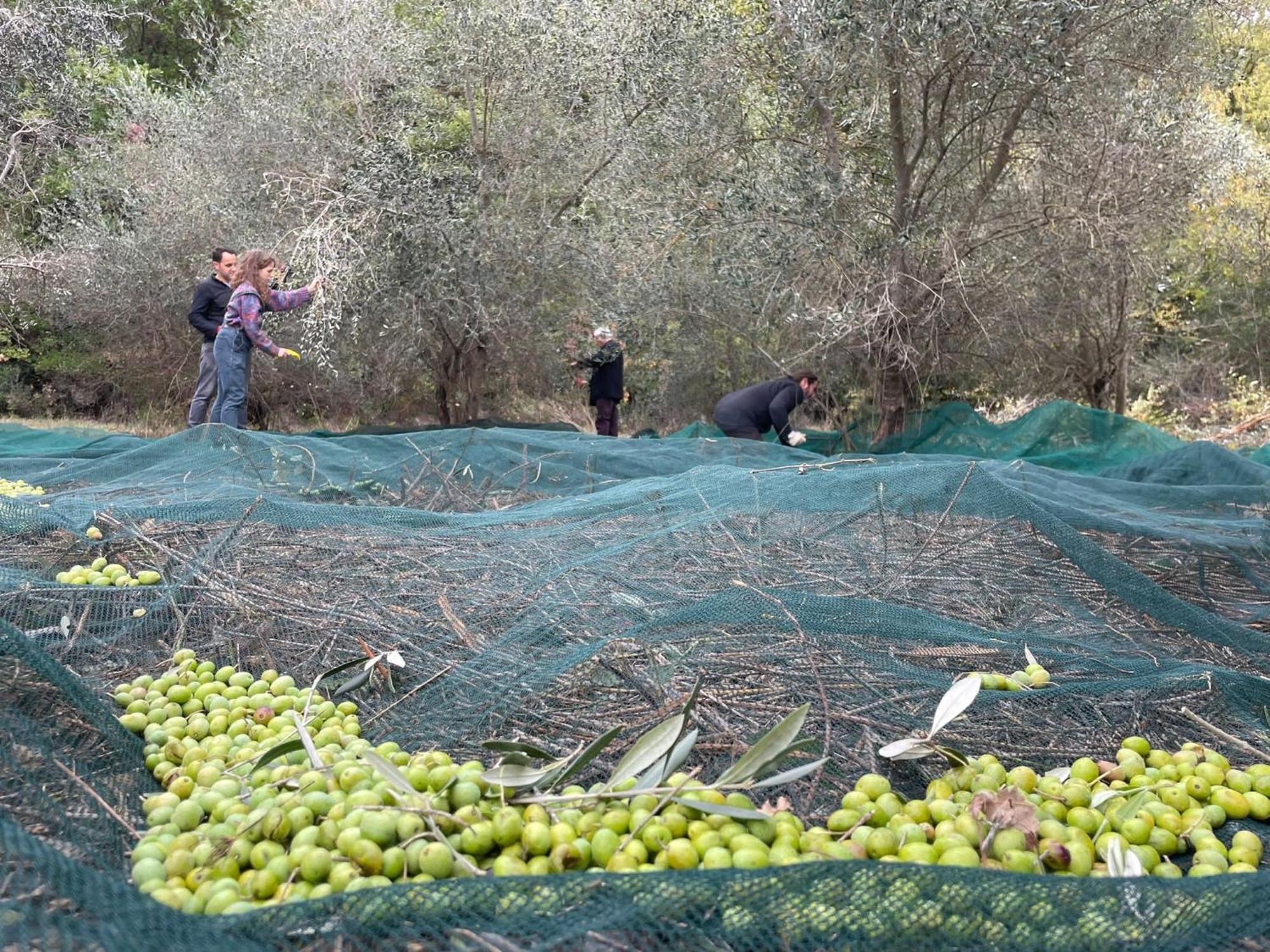 La Casella Antico Feudo Di Campagna Ficulle ภายนอก รูปภาพ